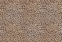 Leopard Spotted Fur Texture