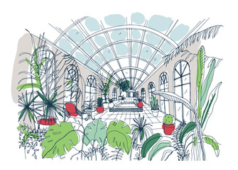 Wall Mural - Freehand sketch of interior of greenhouse full of tropical plants. Colorful drawing of glasshouse with palms, exotic trees growing in pots and large panoramic windows. Colored vector illustration.