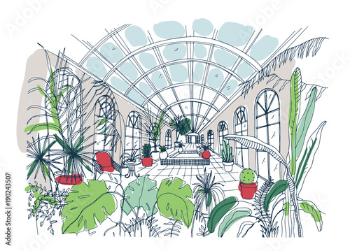 Freehand Sketch Of Interior Of Greenhouse Full Of Tropical