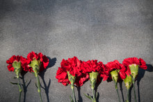 Red Carnations On A Gray Granite Slab