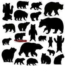 Silhouettes Of Bears.