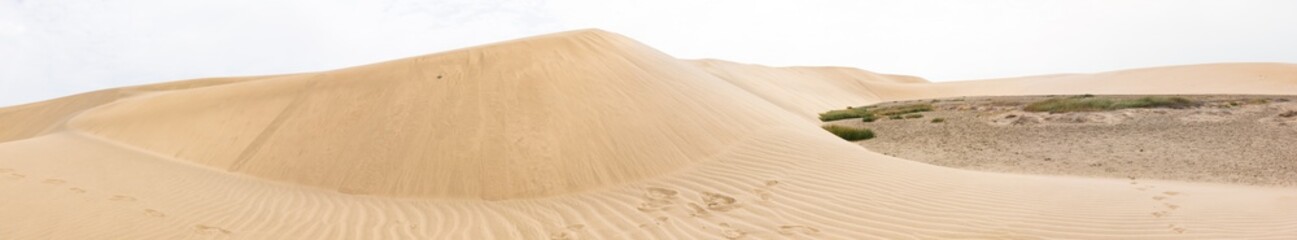 Wall Mural - panorama of the sandy desert