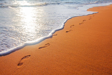 Wall Mural - beach, wave and footprints at sunset time