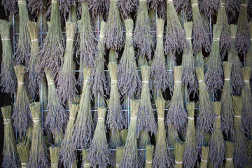 lavender drying horizontal