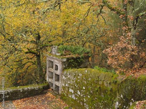 Plakat średniowieczny cmentarz w lesie