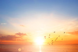 Fototapeta Zachód słońca - Flying bird at sunset sky background