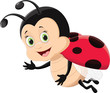 cute ladybug flying isolated on white background