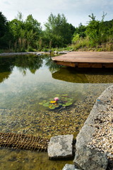 natural swimming pond or natural swimming pool - nsp - purifying water without chemicals through bio