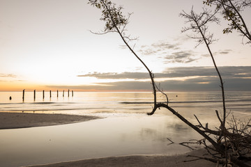 Aufkleber - A quiet evening on the Atlantic coast. A thicket of mangrove trees and a ruined old pier in the water. Long exposure.
