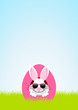 Front Easter Bunny Sunglasses Hiding In Egg Meadow Pink/White