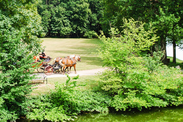 Wall Mural - horse carriage ride in park in summer