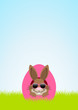 Front Easter Bunny Sunglasses Hiding In Egg Meadow Pink/Brown