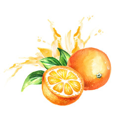 Orange juice splash. Watercolor hand drawn illustration, isolated on white background