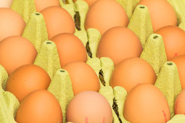 Freerange fresh raw eggs in recycled paper egg cartons or on the straw