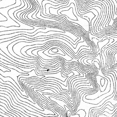 Vintage contour mapping. Natural printing illustrations of maps.