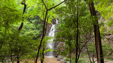 Montezuma Waterfall In Nature Of  Costa Rica