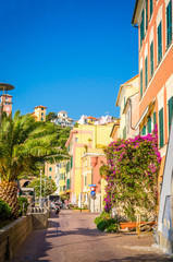  Narrow streets and traditional buildings of Celle Ligure, Liguria, Italy