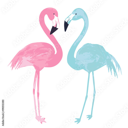 Watercolor couple flamingos on white background. Vector illustration