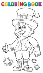 Poster - Coloring book leprechaun 2