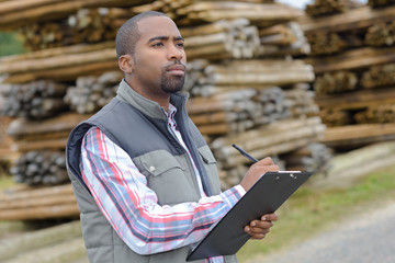 Man with clipboard in woodyard