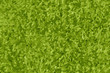 abstact of green color texture background