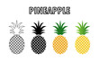 collection of pineapple icon isolated on white background.