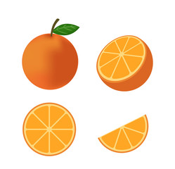 Wall Mural - 
Fresh orange fruit vector isolated set on white background - Vector illustration