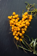 Canvas Print - Sea buckthorn berries looks like heart over the black background.