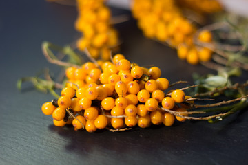 Canvas Print - Sea buckthorn on a branches over the black slate background.