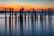 Pelican and Pier Piling Sunset Seascape Silhouettes