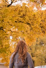 Woman Looking At The Autumn Trees In Park