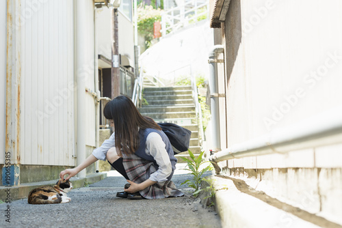 女子高生 猫 登下校 Buy This Stock Photo And Explore Similar Images At Adobe Stock Adobe Stock