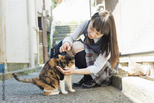 女子高生 猫 登下校 Buy This Stock Photo And Explore Similar Images At Adobe Stock Adobe Stock 女子高生 猫 登下校 Buy This Stock Photo And Explore Similar Images At Adobe Stock Adobe Stock