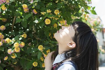 女子高生　花　ポートレート