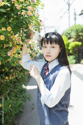 女子高生 花 ポートレート Buy This Stock Photo And Explore Similar Images At Adobe Stock Adobe Stock 女子高生 花 ポートレート Buy This Stock Photo And Explore Similar Images At Adobe Stock Adobe Stock