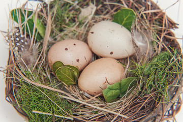 Easter decoration with egg in nest with moss on rustic white wooden background. Easter concept. Flat lay top view copy space. Spring greeting card