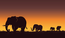 Silhouette Landscape Illustration Of A Group Of Elephants. Beautiful Sunset, Nature Background - Vector Illustration. 