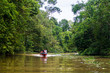 The boat sails along the Kinabatangan River surrounded by tropical forests, Sabah, Borneo. Malaysia.