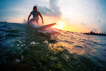 Wall Mural - Surfer trying to catch the ocean wave during sunset. Active lifestyle and extreme sport concept