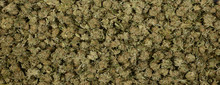 Panorama Of Marijuana Nuggets