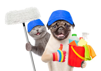Poster - Cleaning concept. Cat and dog in blue hats holds bucket with washing fluids and mop in paw and showing thumbs up. isolated on white background