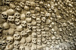 © Stefania - wall of skulls in church ossuary