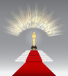 Red carpet for awards, ceremonies,festivals
