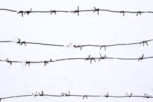 Barbed Wire Against The Background Of Snow