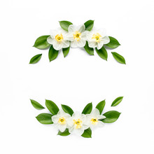 Round Frame With White Flower Narcissus Buds, Branches And Leaves Isolated On White Background. Lay Flat, Top View