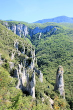 View In Vela Draga Nature, Istria, Croatia