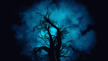 Wall Mural - Spooky Tree Dark Night
