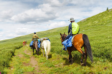 A Rider On Horseback With A Caravan Carries Tourist Equipment For An Expedition In The Mountains