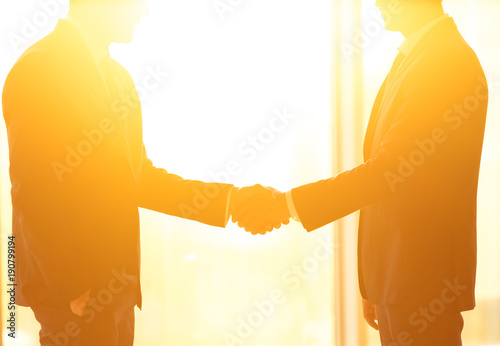 Fotomural The two businessmen handshake on the bright sun background