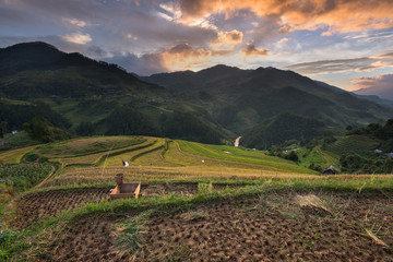 Beautiful landscape rice fields on terraced of Mu Cang Chai